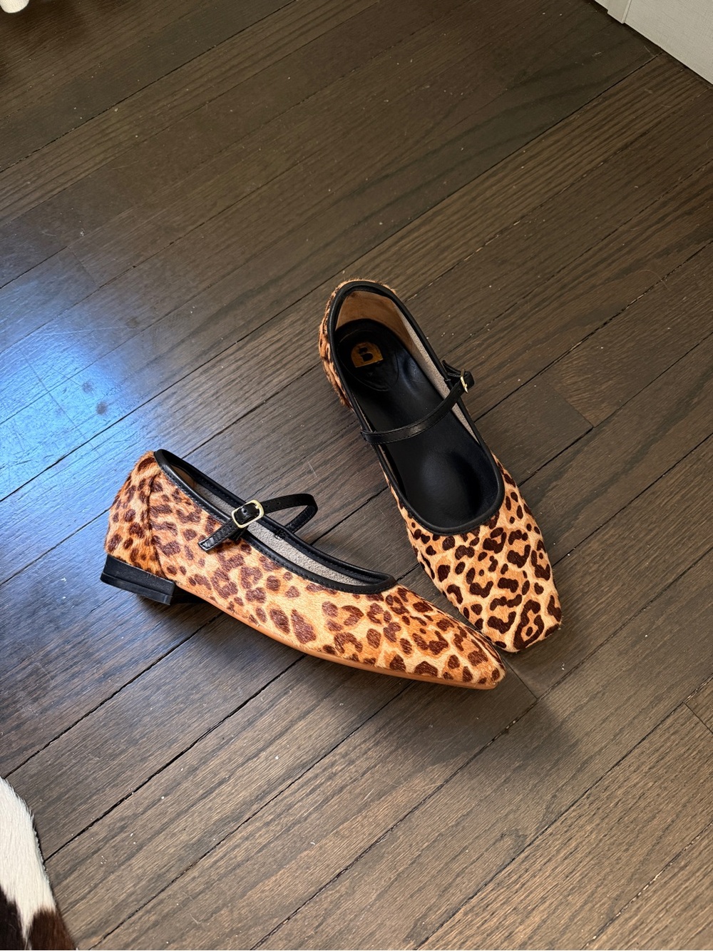 Bared Footwear Leopard Ballet Flats